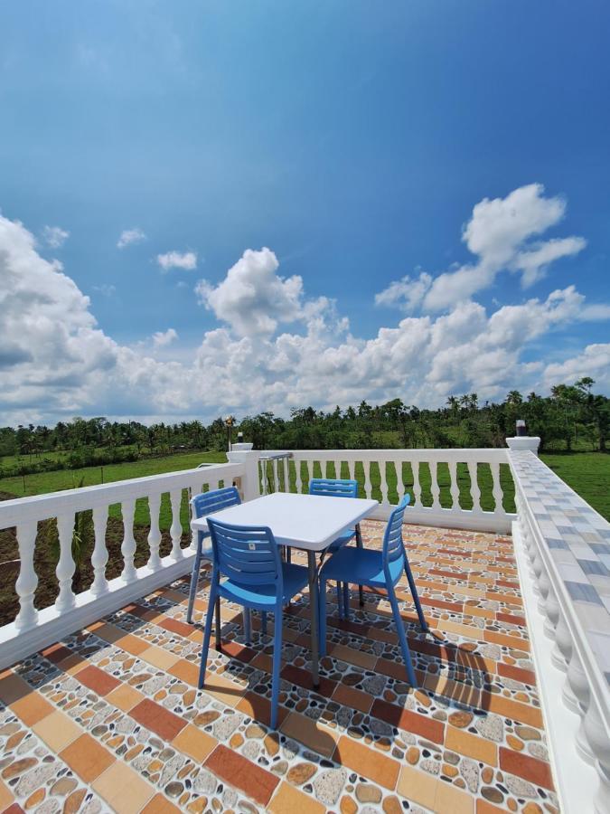 Joe'S Castle Bed & Breakfast Sagbayan Dış mekan fotoğraf